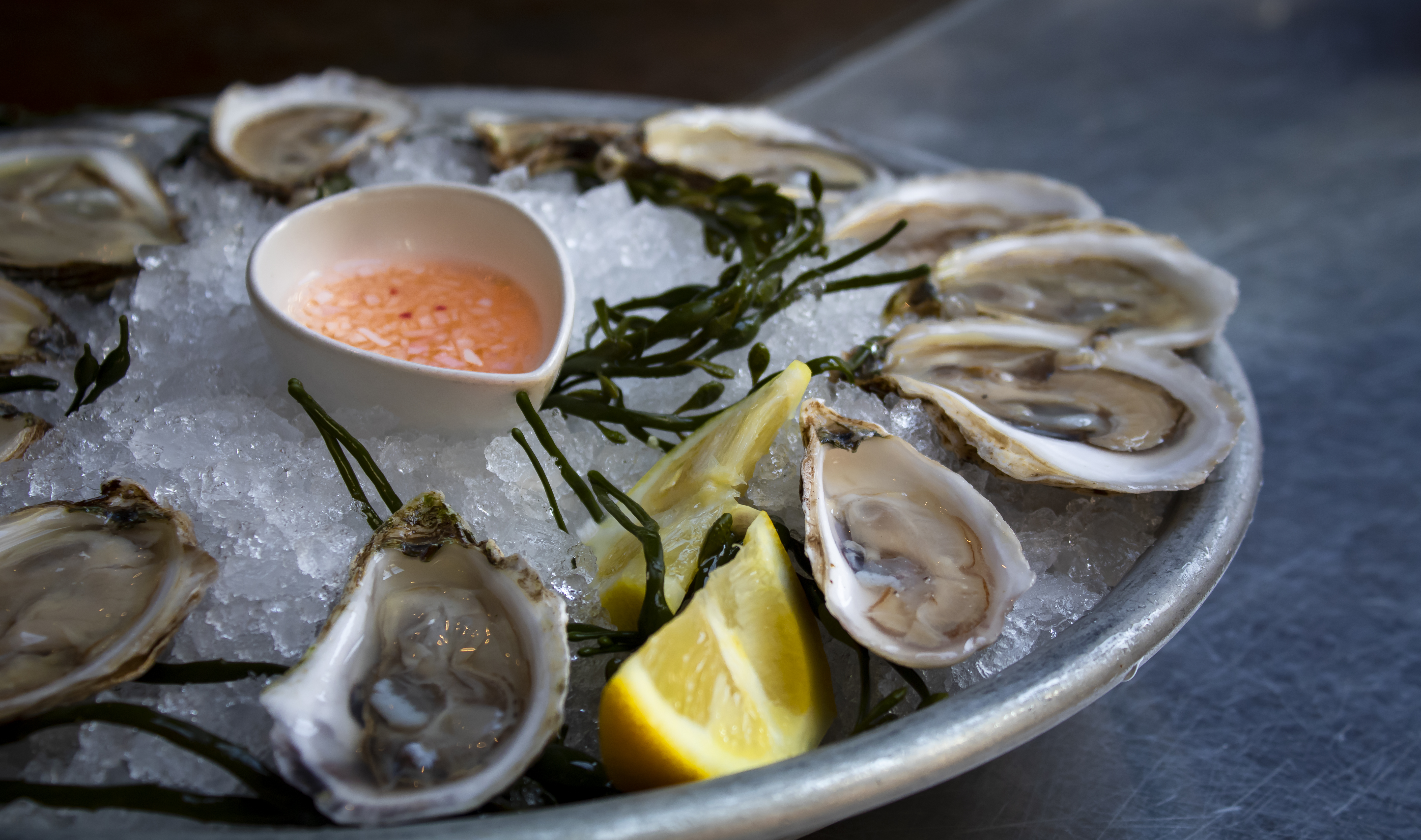 Fresh Oysters on the Half Shell — Daily Northern California Selection